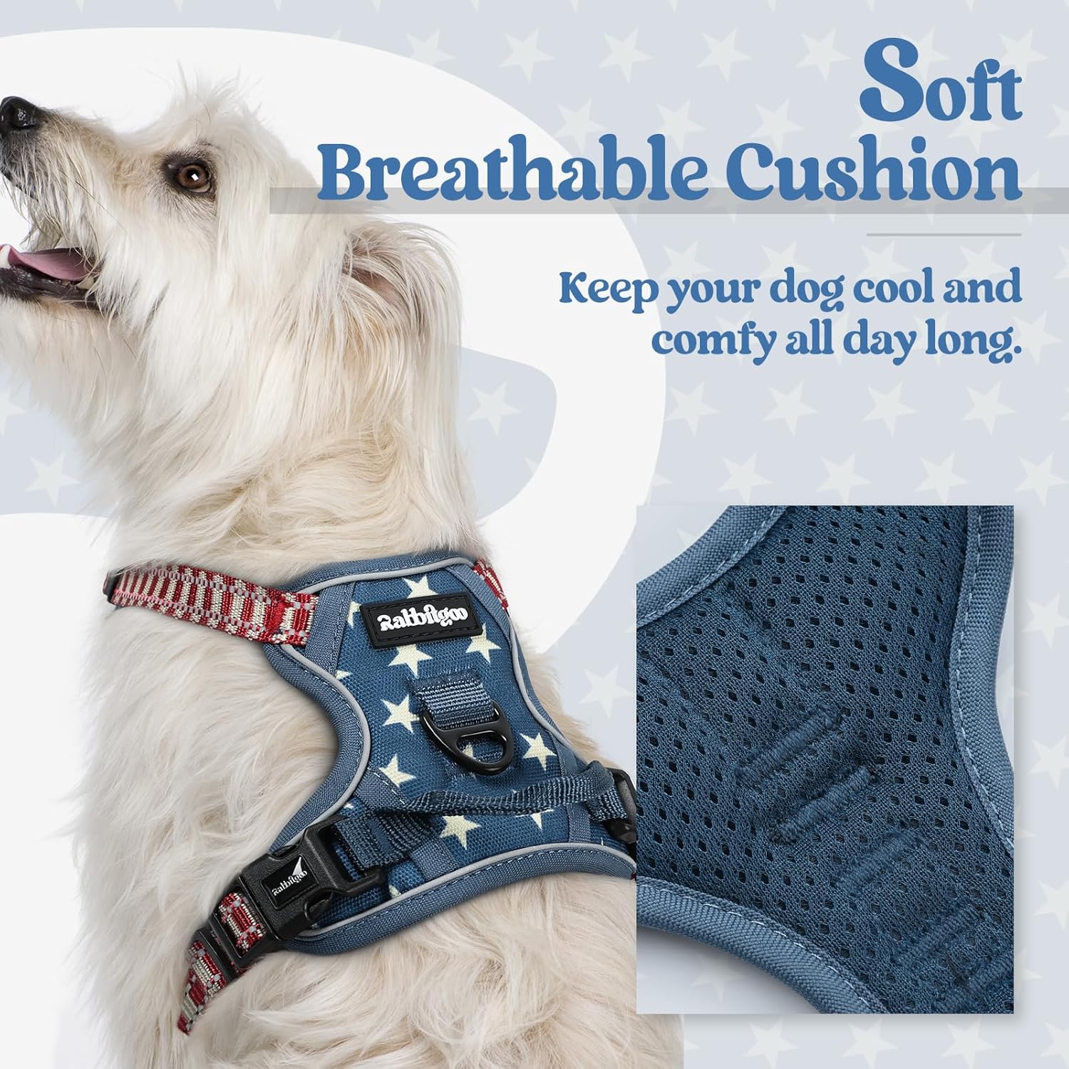 rabbitgoo Dog Harness No Pull with 2 Leash Clips, Adjustable Soft Padded, Reflective Oxford No Choke Pet Vest with Easy Control Handle for Large Dogs, Blue Star, XS
