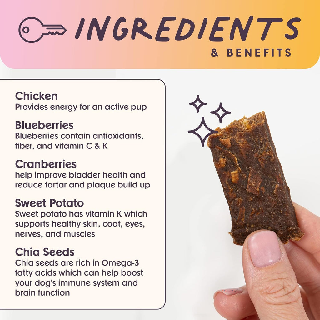 Bundle x Joy Superfood Dog Treats Salmon, Chicken or Beef Jerky Bars - Dog Treats for Snacks and Training – Made in USA - No Corn, Wheat or Soy – Poultry Free (5 Ounces, Chicken)