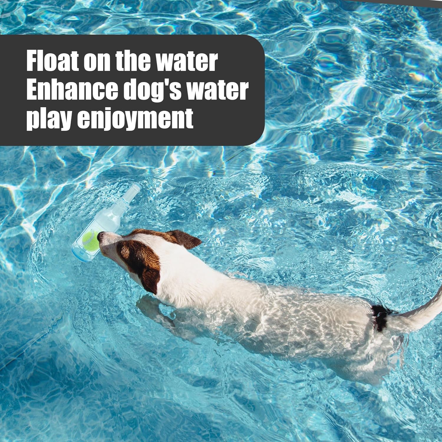 Dog Squeaky Chew Toy,Floating TPR Water Bottle Toys-Small Medium Large Breeds - Training Fetch -Indoor Outdoor Pool Beach Blue M
