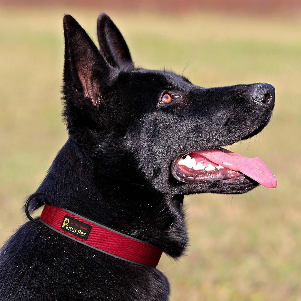 Plutus Pet Tactical Dog Collar, Reflective, Adjustable Heavy Duty Dog Collar, Soft Padded and Comfortable, for Small Medium and Large Dogs (Red, L)