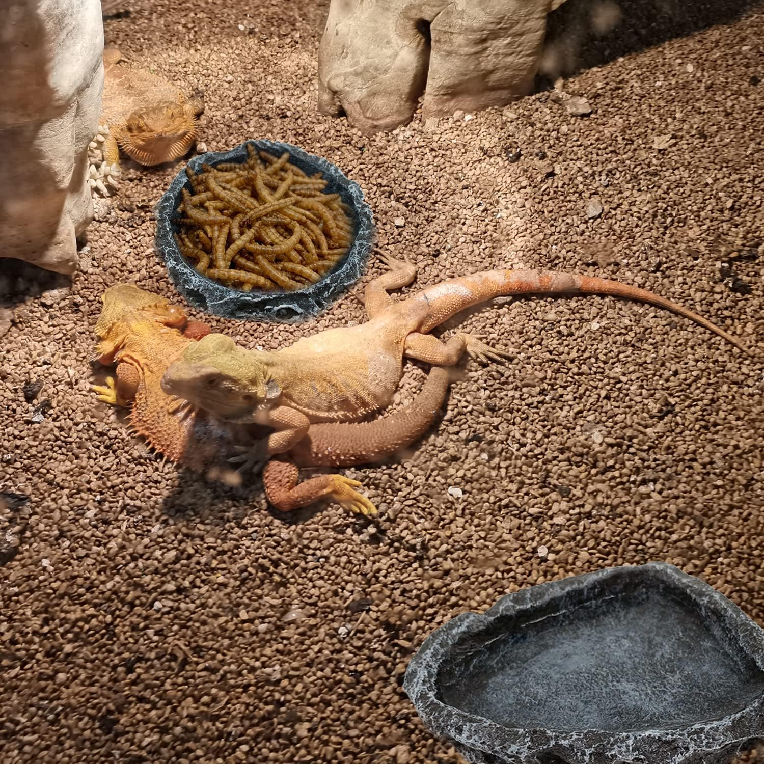 2 Pack Reptile Feeding Dish Corner Bowl, Reptile Water Dish Food Bowl Feeding Terrarium Bowls for Bearded Dragon Lizard Frog Gecko Tortoise Hermit Crab