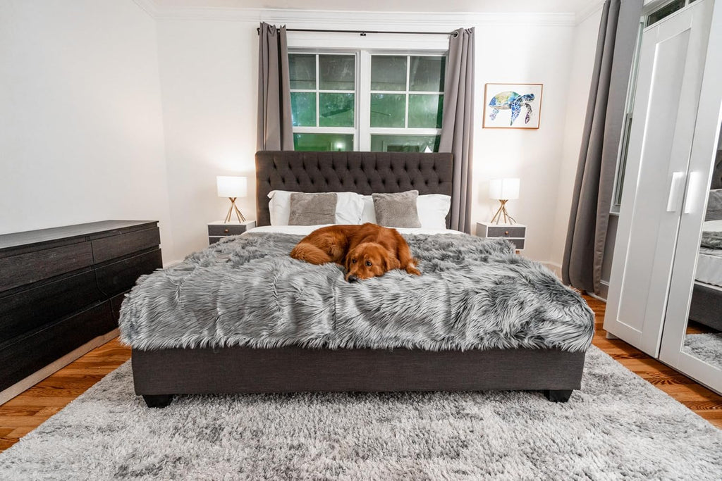 PupProtector Waterproof Throw Blanket for Dogs and Cats, Pet Blanket Cover for Couches, Sofas, Beds, Car Seats, Furniture, Calming Soft Faux Fur, Charcoal Grey, Large (80" L x 62" W)