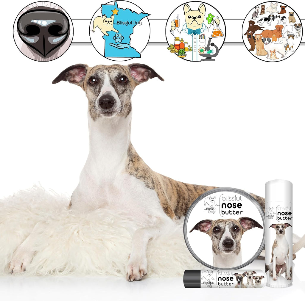 The Blissful Dog Whippet Unscented Nose Butter - Dog Nose Butter, 2 Ounce