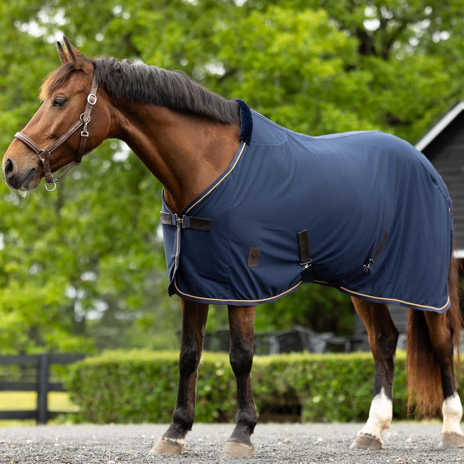 HORZE Warren Soft Adjustable Genuine Leather Horse Halter | Stainless Steel Hardware - Light Brown - Cob