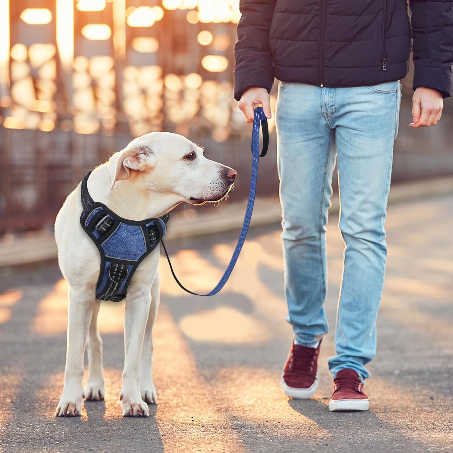 BUMBIN Dog Harness for Large Dogs, No Pull Adjustable No Choke Pet Vest with Dog Leash Fit Smart Reflective Pet Walking Harness for Training Easy Control Soft Handle Denim Blue L