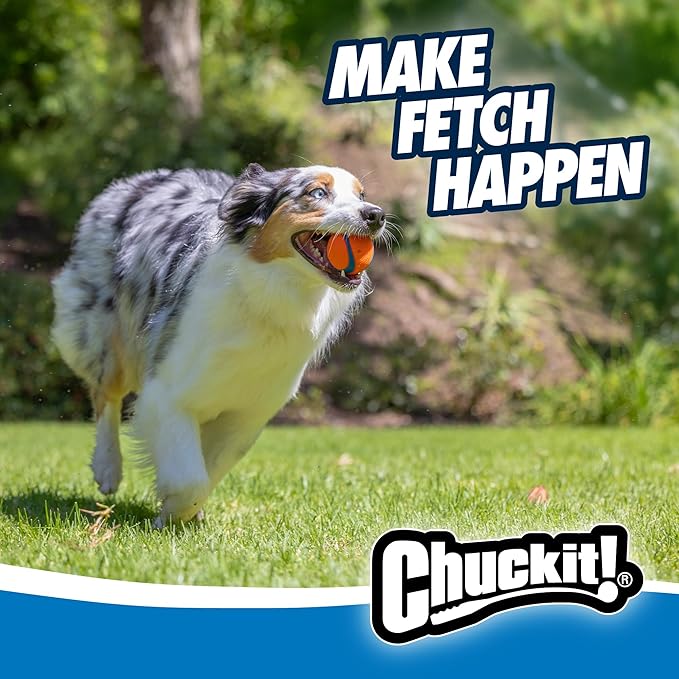 Chuckit! Ultra Ball Dog Toy - Image 7