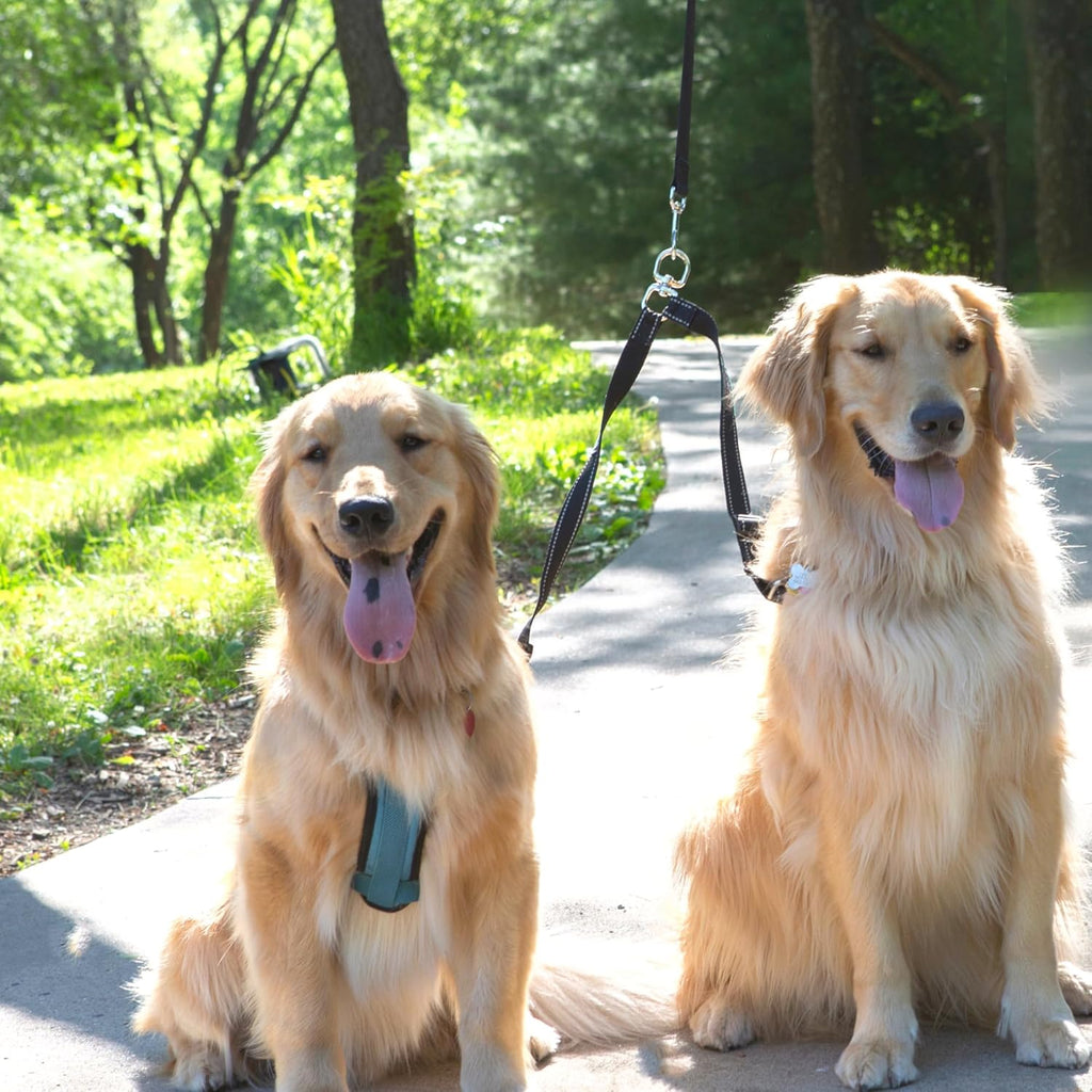 Caldwell's Pet Supply Co. Leash Coupler, Two Dog Leash Splitter to Split Leashes for Walking 2 Dogs, Tangle Free Double Dog Leashes Connector, Adjustable Attachment for Small or Medium Dogs