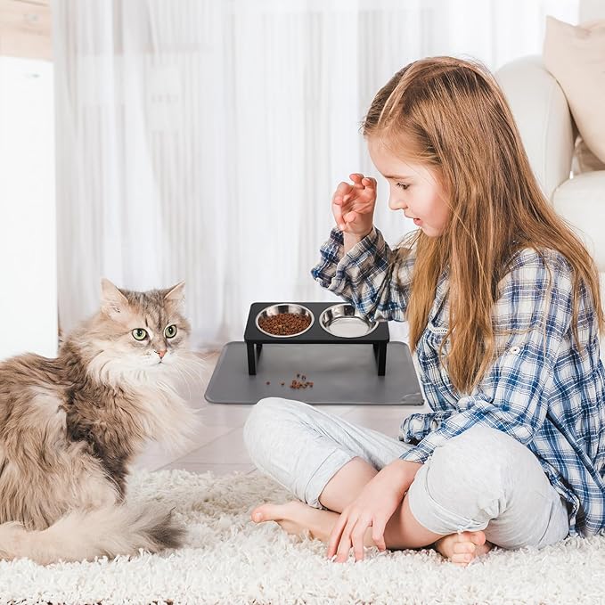 Upgraded Elevated Cat Bowls - Image 7