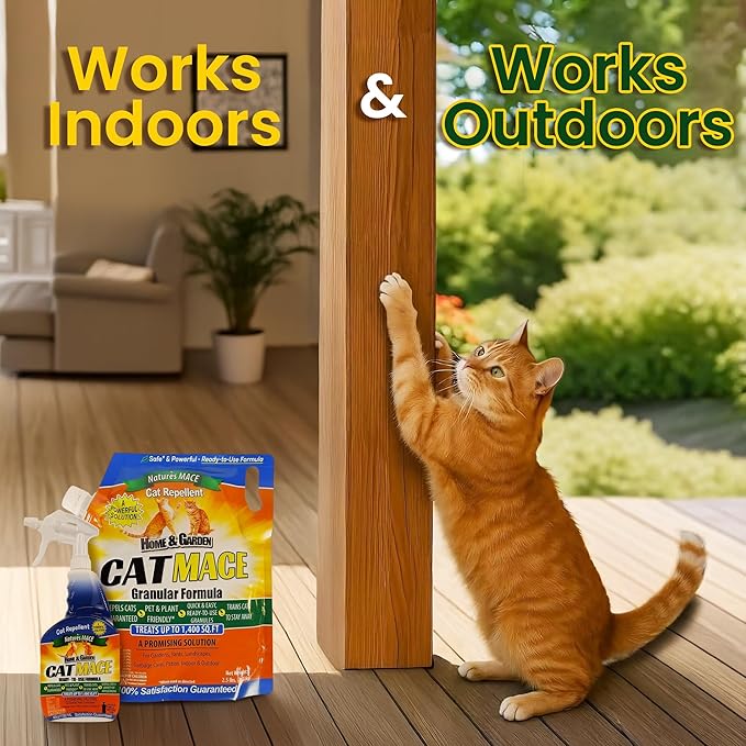 Nature's Mace Cat Mace Cat Repellent, Spray Deterrent - Image 4