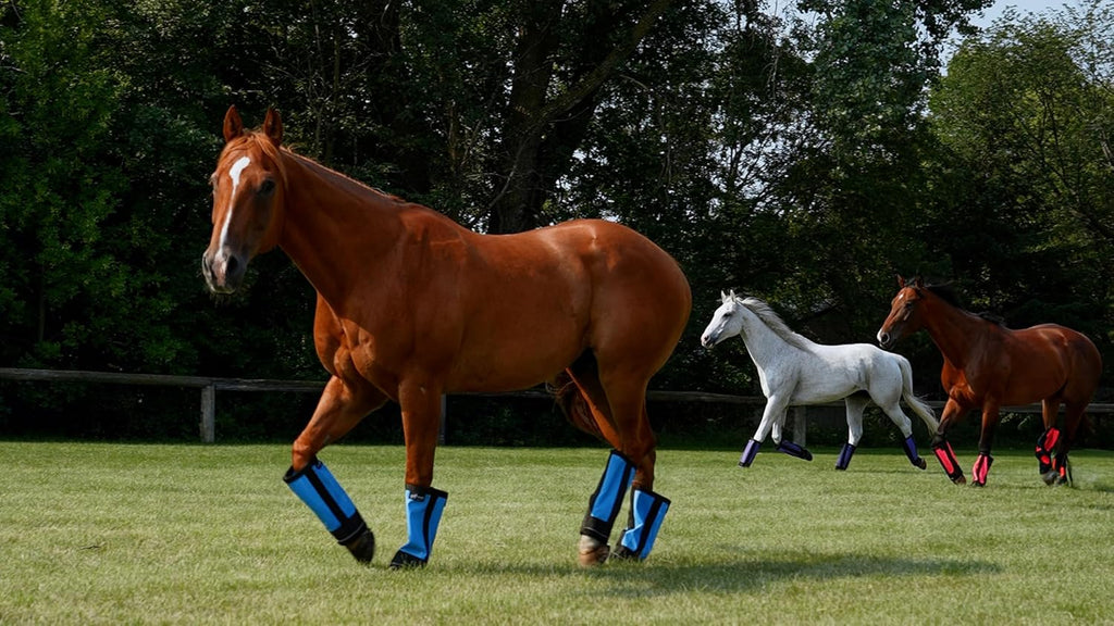 Warrior Fly Boots for Horses - Breathable Mesh Horse Boots for Fly Protection & Leg Comfort - Set of 4 (Knight Warrior, Gray)