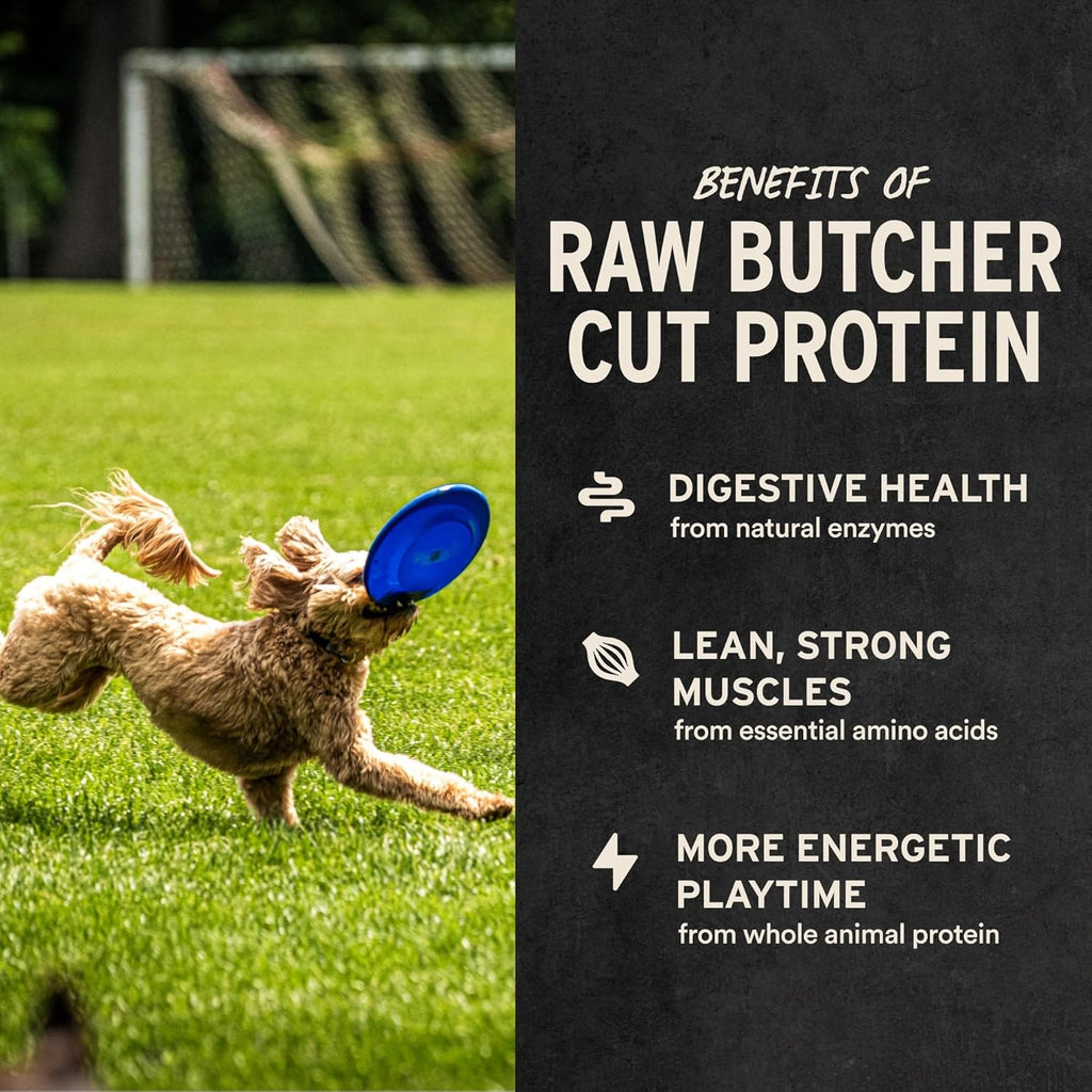 Vital Essentials Beef Bites Dog Treats, 6.2 oz | Freeze-Dried Raw | Single Protein | Premium Quality High Protein Training Treats | Grain Free, Gluten Free, Filler Free