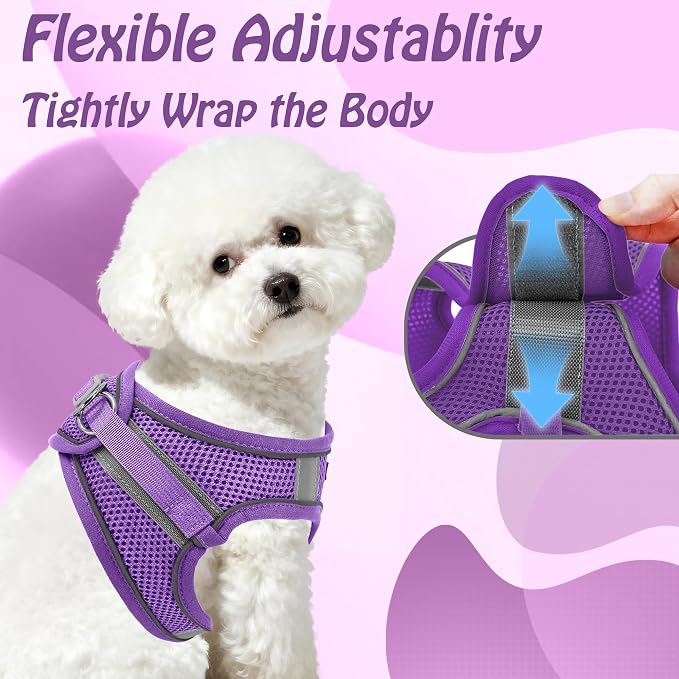 AIITLE Step in Dog Harness and Leash Set - Image 4
