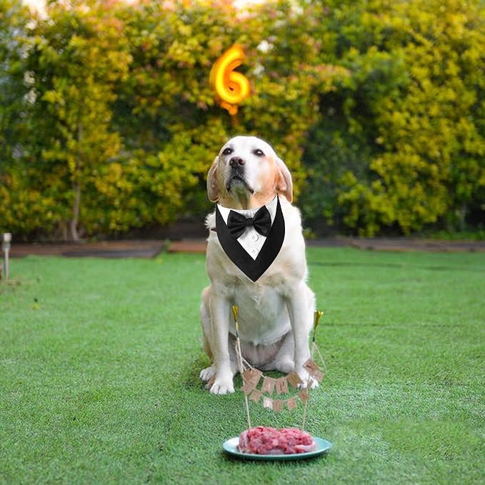 ADOGGYGO Formal Dog Tuxedo, Wedding Dog Bandana Collar - Image 2