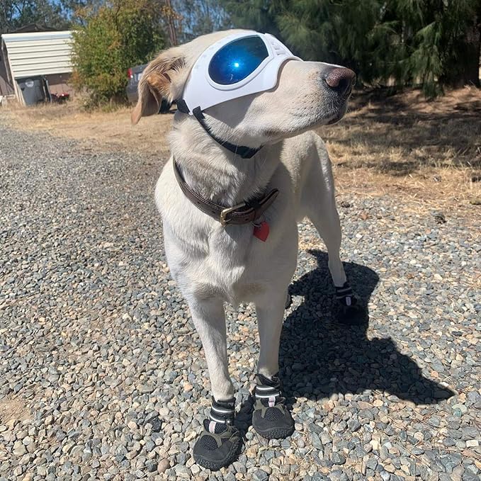 Namsan Dog Goggles for Large Dogs, Wide Snout & Soft Frame, Tactical Driving - Image 6