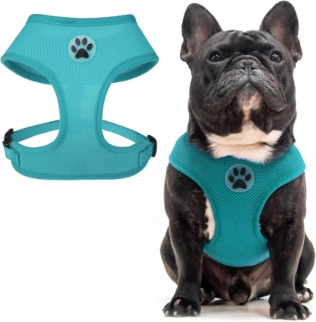 BINGPET Small Dog Harness - Breathable Mesh Puppy Cat Harnesses - No Pull Adjustable Dog Harness Dog Vest Harness for Small and Medium Dogs