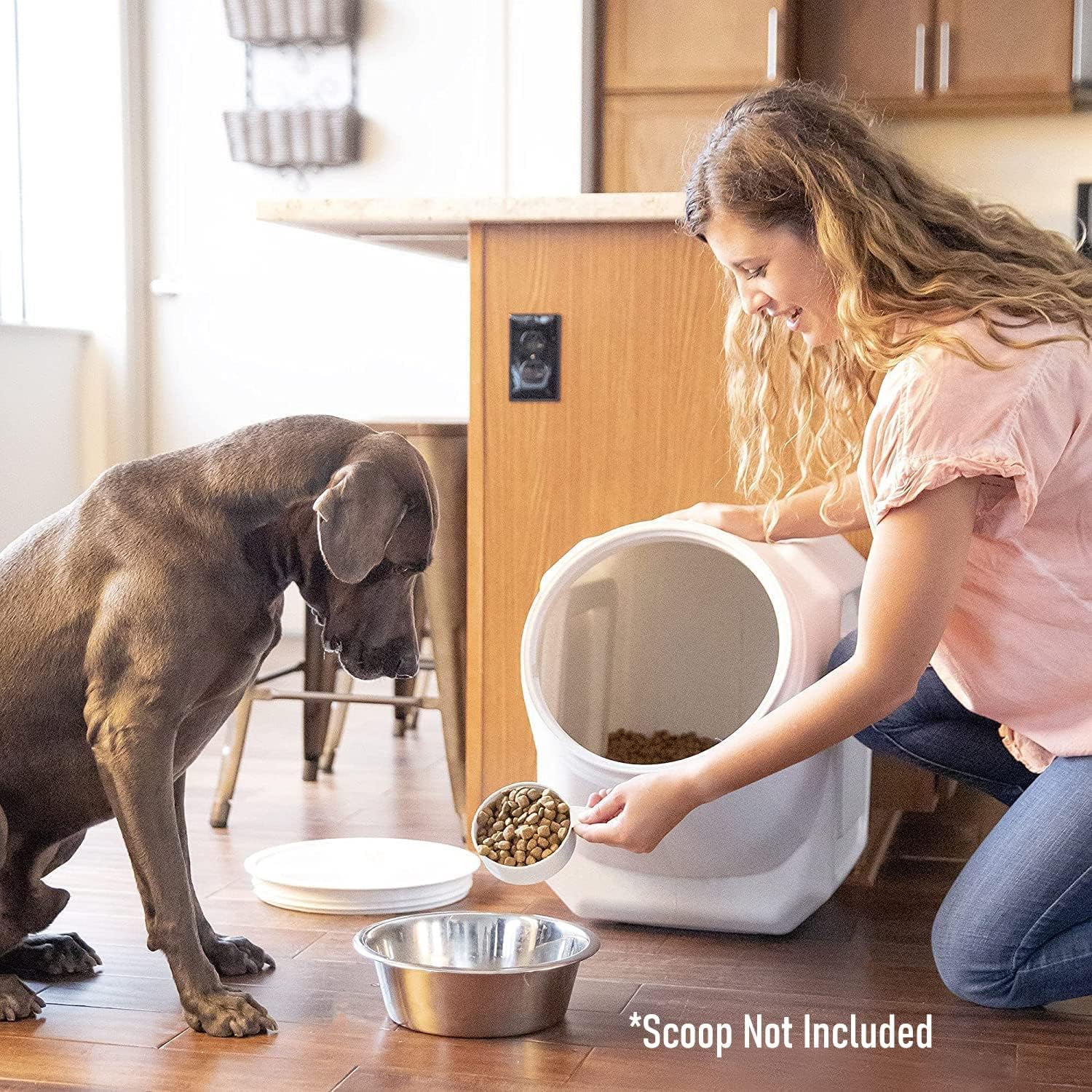 Gamma2 Vittles Vault Stackable Dog Food Storage Container with Sealing Lid, Up to 40 lbs Dry Pet Food Storage Container, USA-Made - [20.5"L x 12"W x 16.75"H]