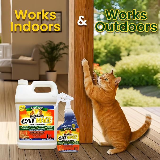 Nature's MACE Cat Mace Cat Repellent, Training Liquid Deterrent Tool, Makes 16 - Image 6