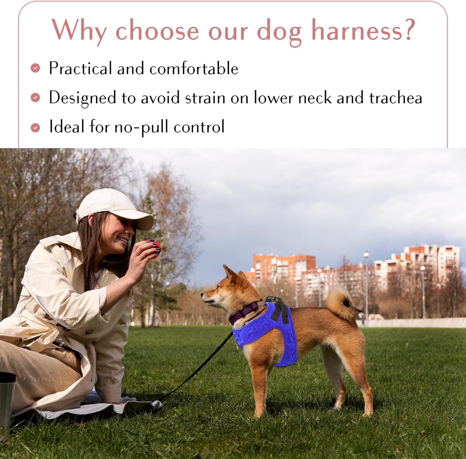 Comfort Fit No Pull Dog Harness – Adjustable Step-in Vest for Small, Medium & Large Dogs, Soft Padded with Leash Clips, Reflective Straps & Handle