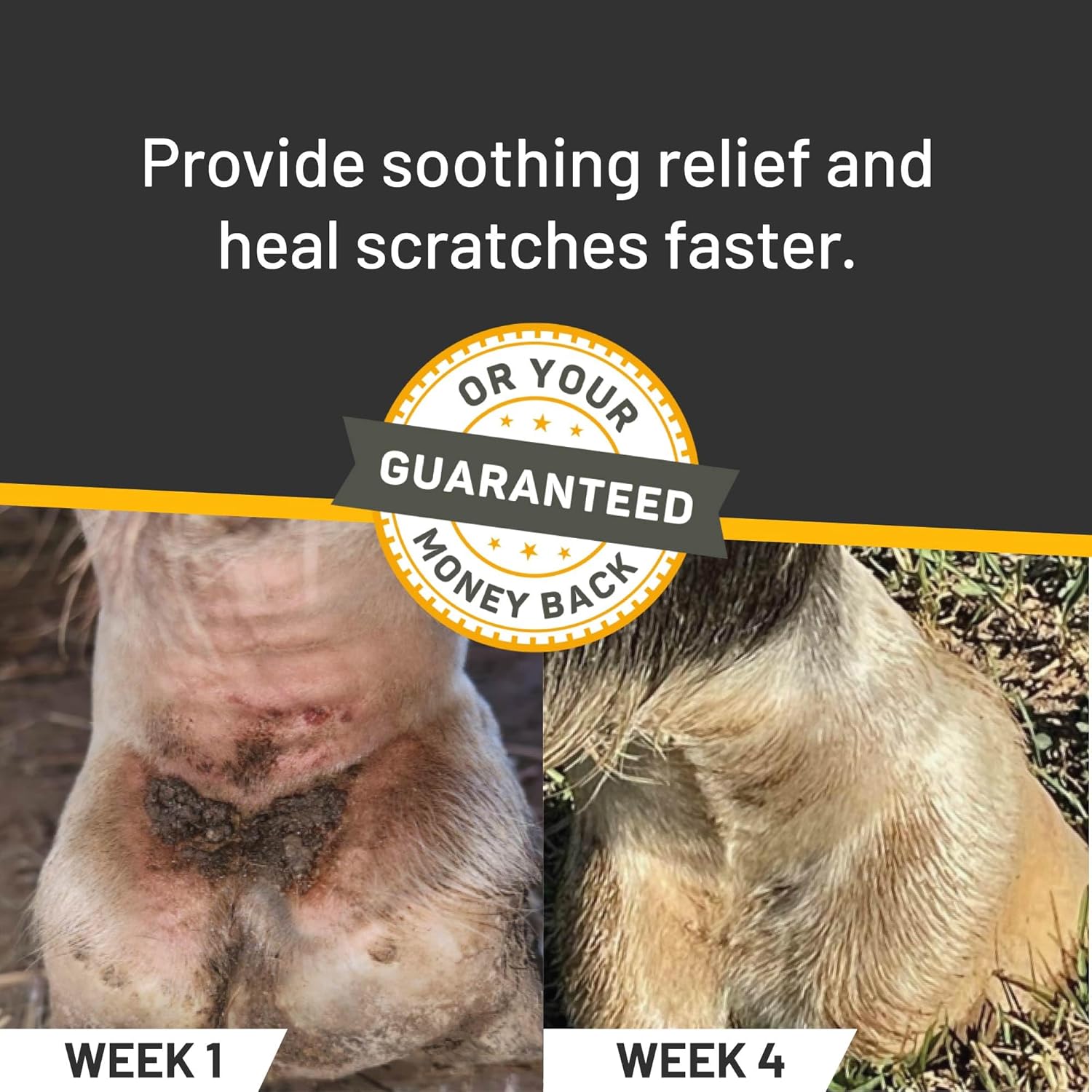 Silver Honey Rapid Relief 6oz Spray for Horses Only, Use on Equine Scratches / Pastern Dermatitis / Mud Fever / Dew Poisoning / Cracked Heels