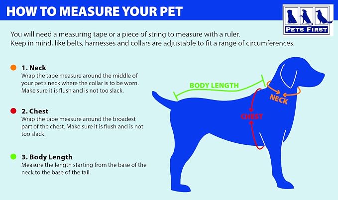 Pets First NFL DOG BANDANA - Image 5