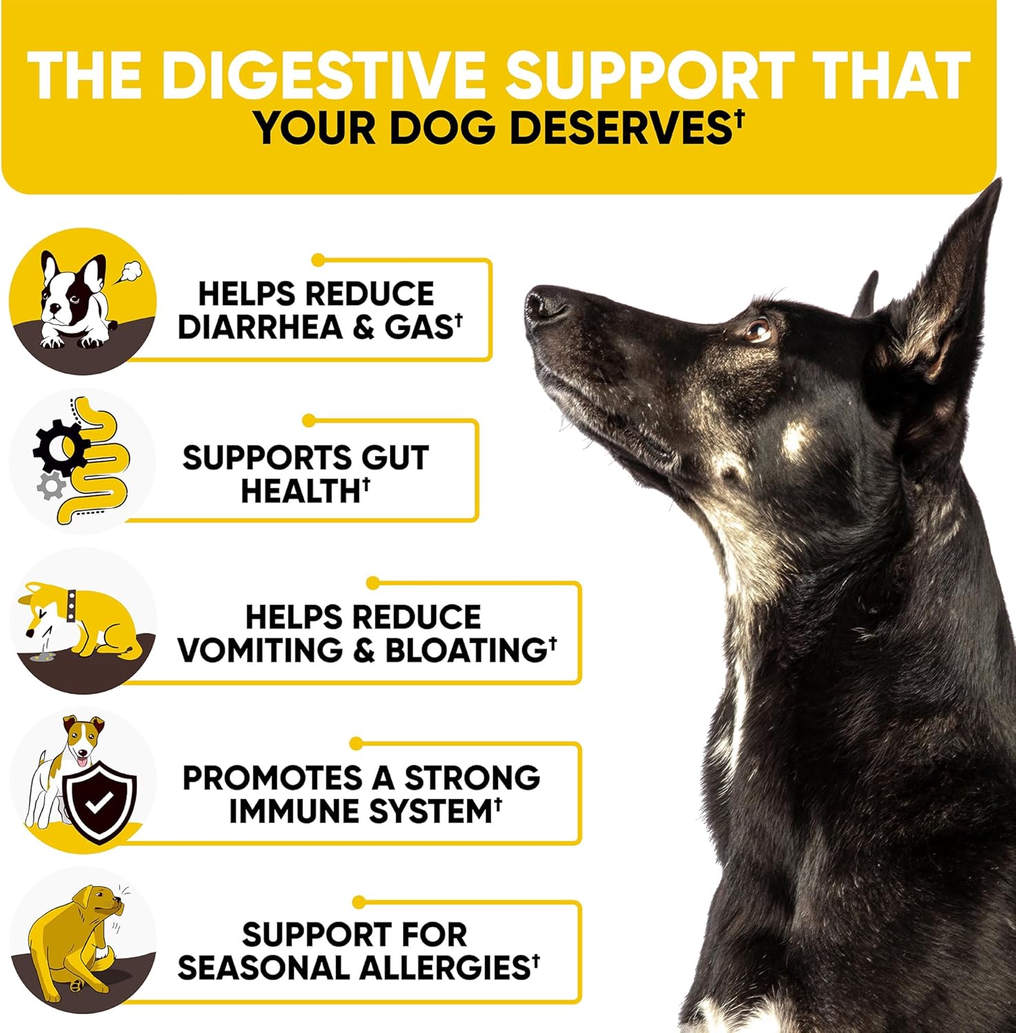 Probiotics Chews for Dogs w/Digestive Enzymes - Dog Probiotics to Support Gut Health, Alleviate Dog Itch, Soothe Itchy Skin, Dog Allergy Relief - Good for Immunity & Dog Itching Skin Relief -180 ct