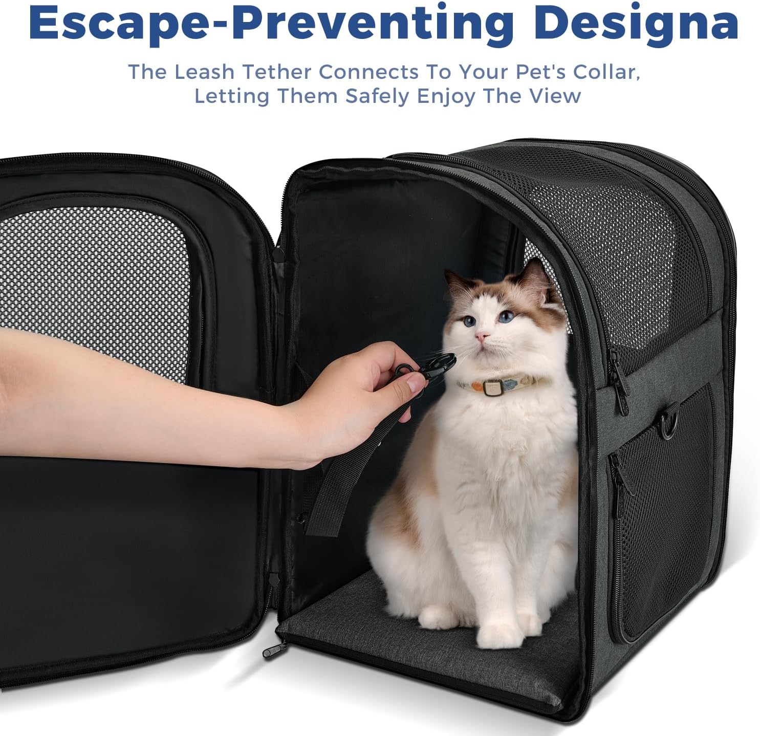 Apollo Walker Dog & Cat Carrier Backpack for 4-15lb Pets - Ventilated Safe Design with Padded Back Support, Breathable Mesh Pet Backpack for Hiking, Travel, Outdoor (Black)