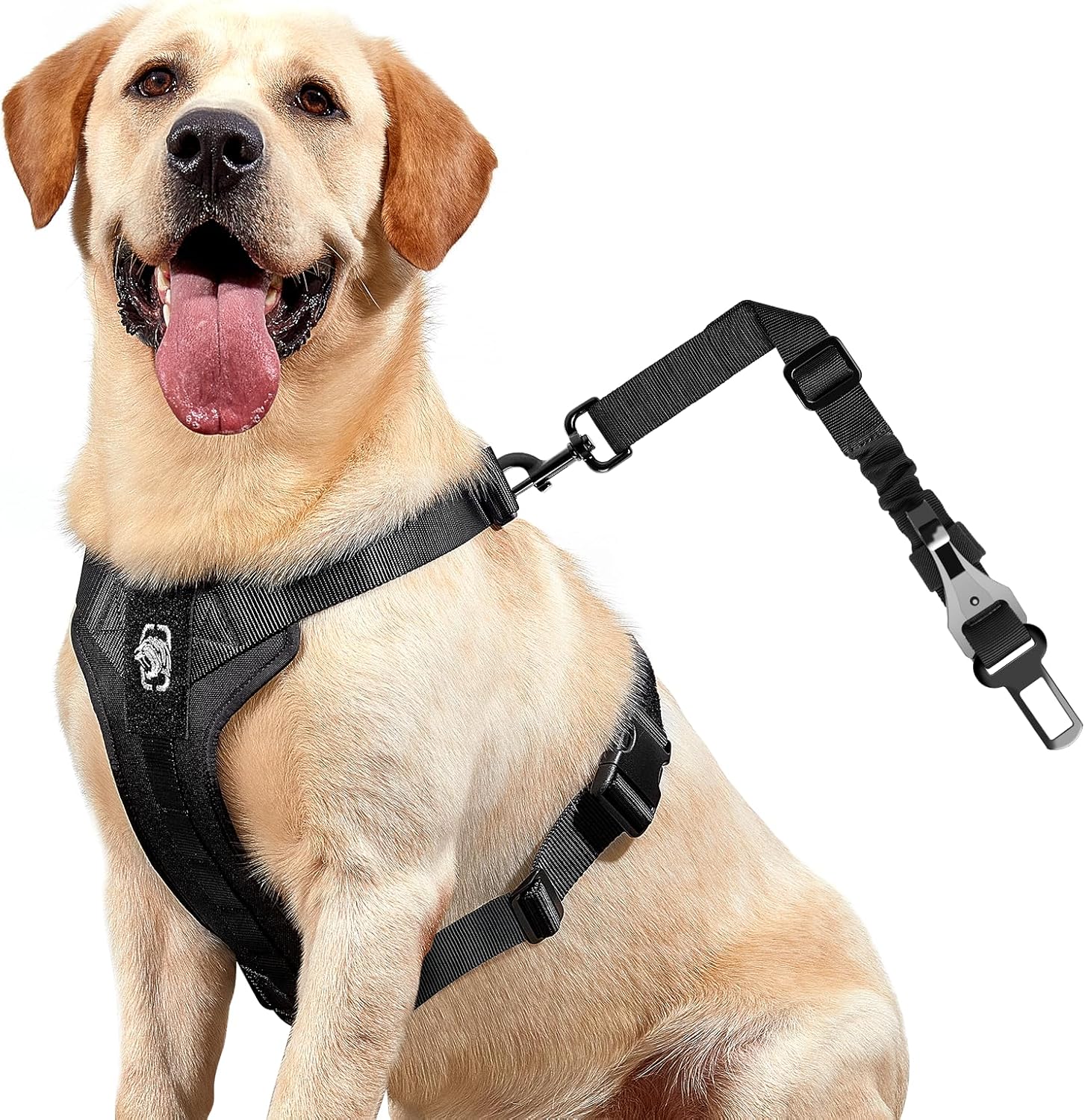 OneTigris Dog Safety Vest Harness, REX Car Use Dog Harness Adjustable Pet Harness with Leash for Medium Large Dogs(Black,M)