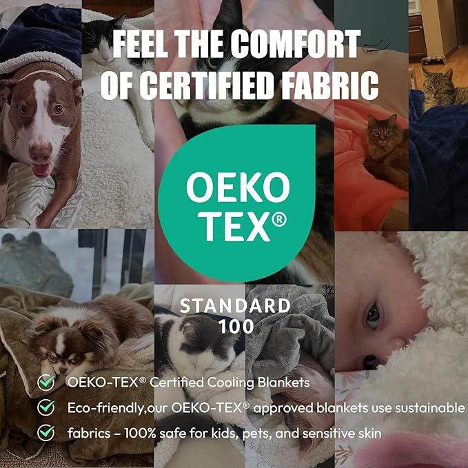 NANPIPER Sherpa Blanket Twin Size for Couch, Warm and Lightweight Throw, Soft Fuzzy Plush Fleece for Winter, Lunar Rock Grey 60x80 Inches