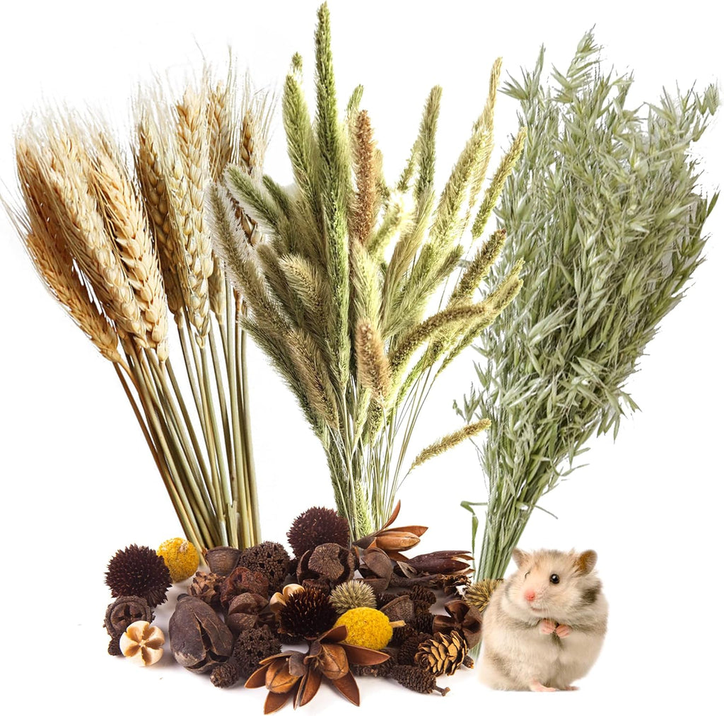 Natural Ear of Grain Flower&Herb Bedding Mate Habitat Decor, Adding Fun Hamster Accessories for Hamsters Gerbils Lemming