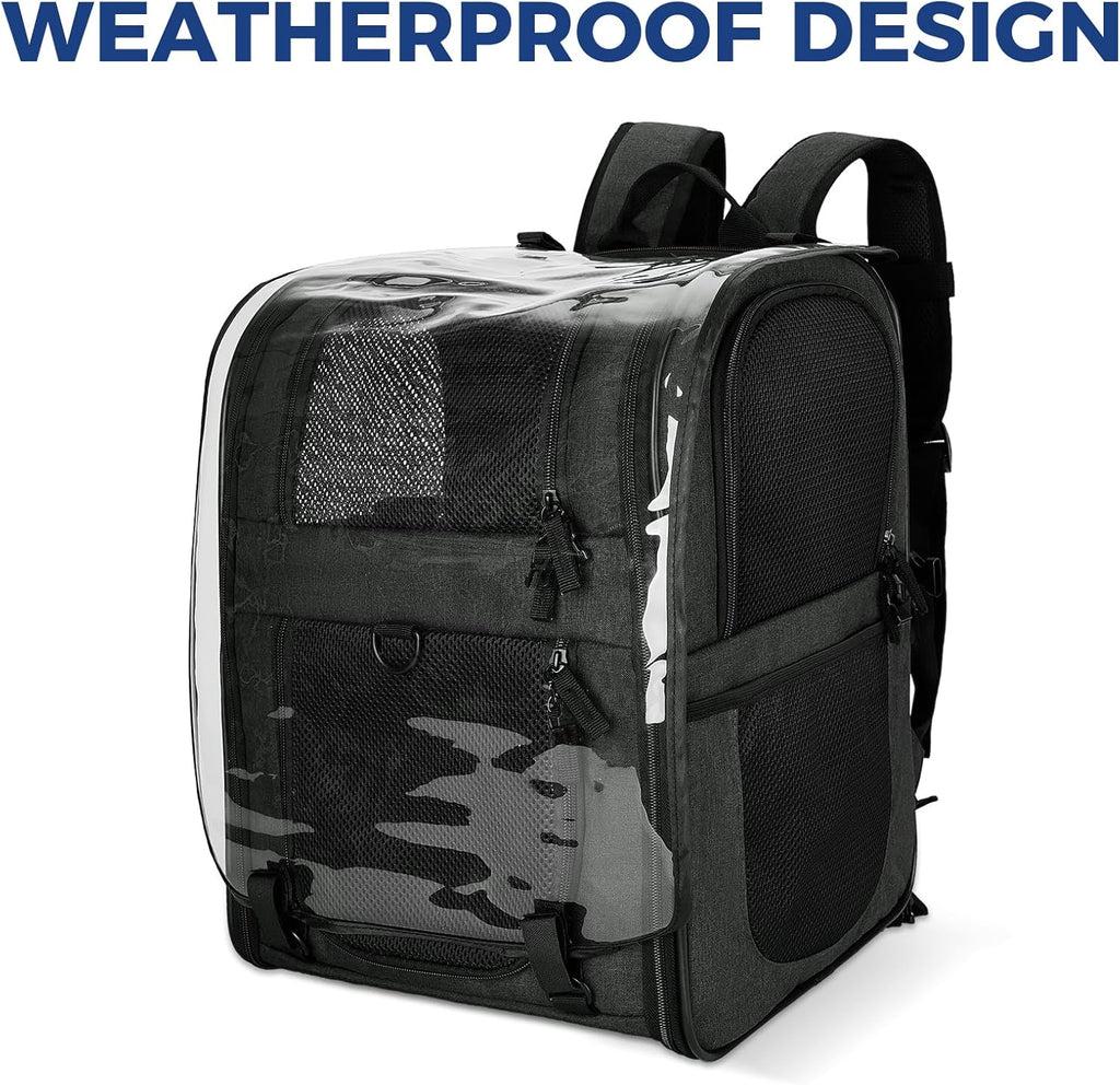 Apollo Walker Pet Carrier Backpack for Large/Small Cats and Dogs, Puppies, Safety Features and Cushion Back Support for Travel, Hiking, Outdoor Use (Black-Expandable)