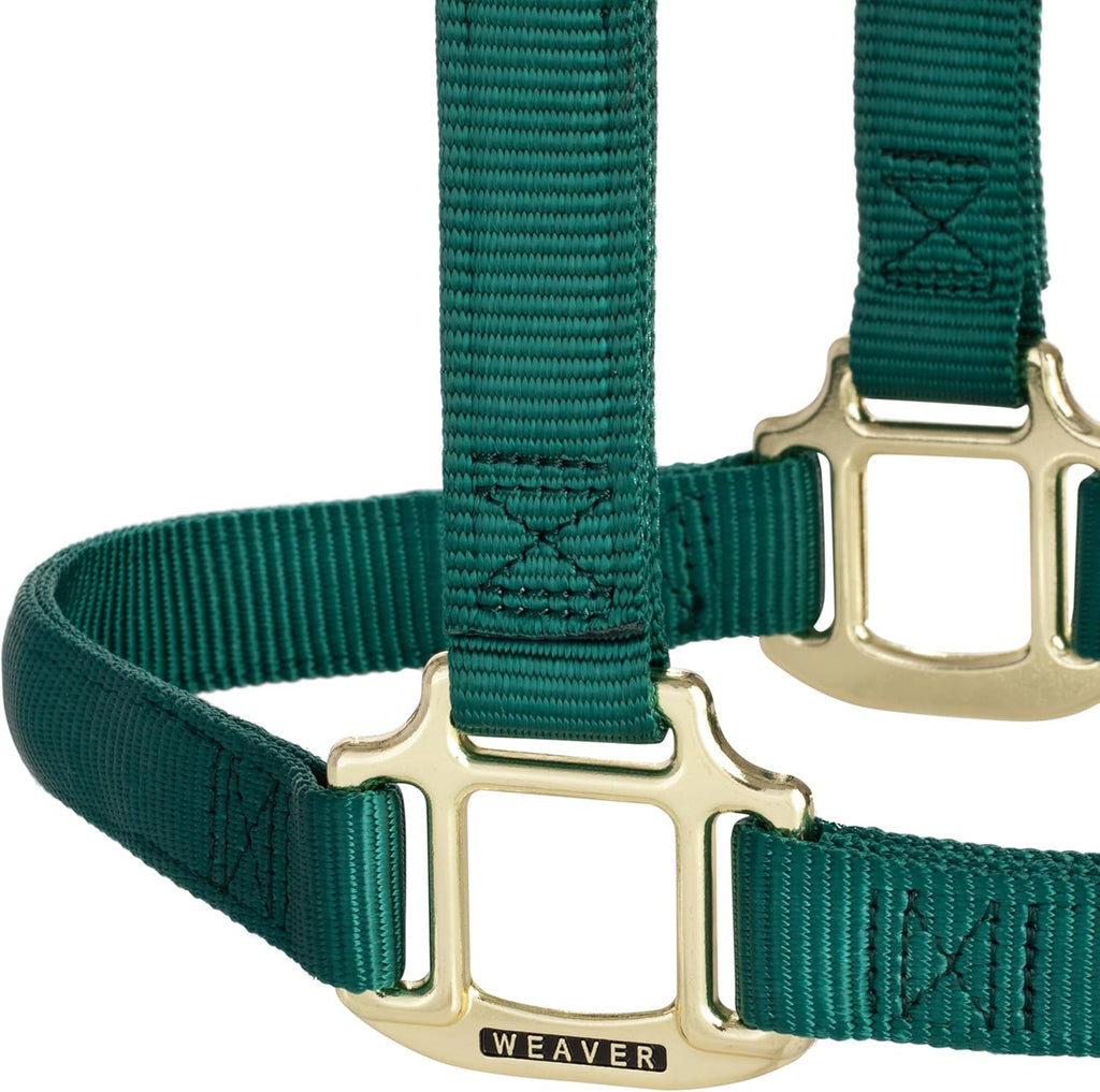 Weaver Equine Nylon Horse Halter, Triple-Ply Cheek Design, Original Non Adjustable Halters for Horses, Equine Tack,Average Size, Black