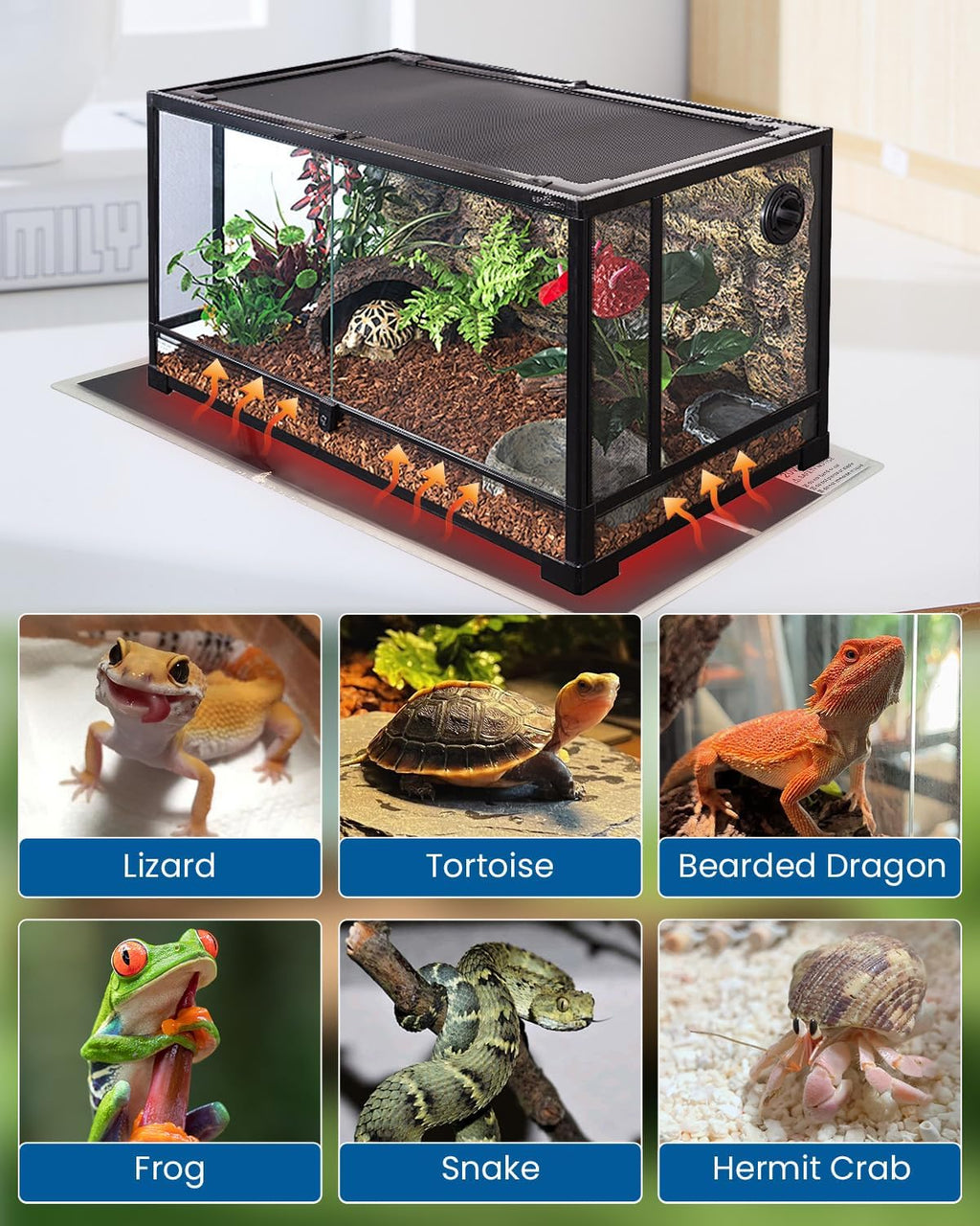 MQ Reptile Terrarium Heat Pad with LCD Digital Aquarium Thermometer, 5.5 x 6in Power Adjustment Under Tank Heater Mat for Pets, Small Animals, Seedling, 5W
