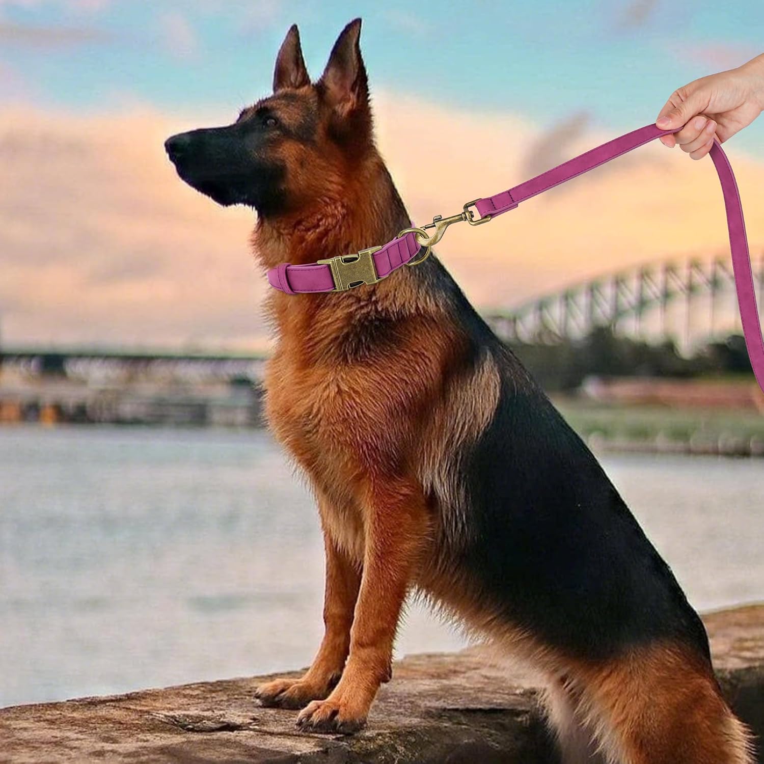 Didog Soft PU Leather Dog Collar, Stylish Quick Released Dog Collar for Large Dogs, Easy Clean Adjustable Pet Collar for Daily Walking, Purple, L Fit 15-23" Neck