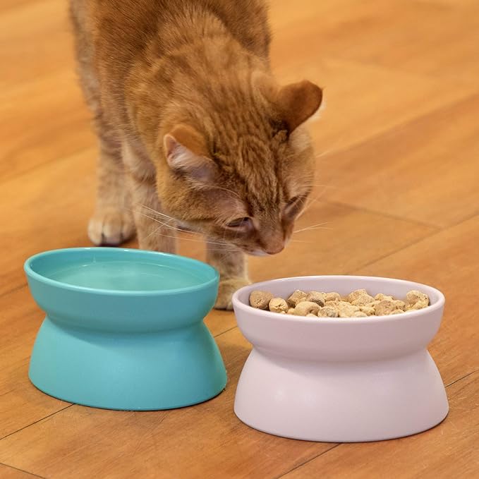 Kitty City Elevated Cat Bowls, Whisker-Friendly Raised Cat Food & Water Dishes - Image 3