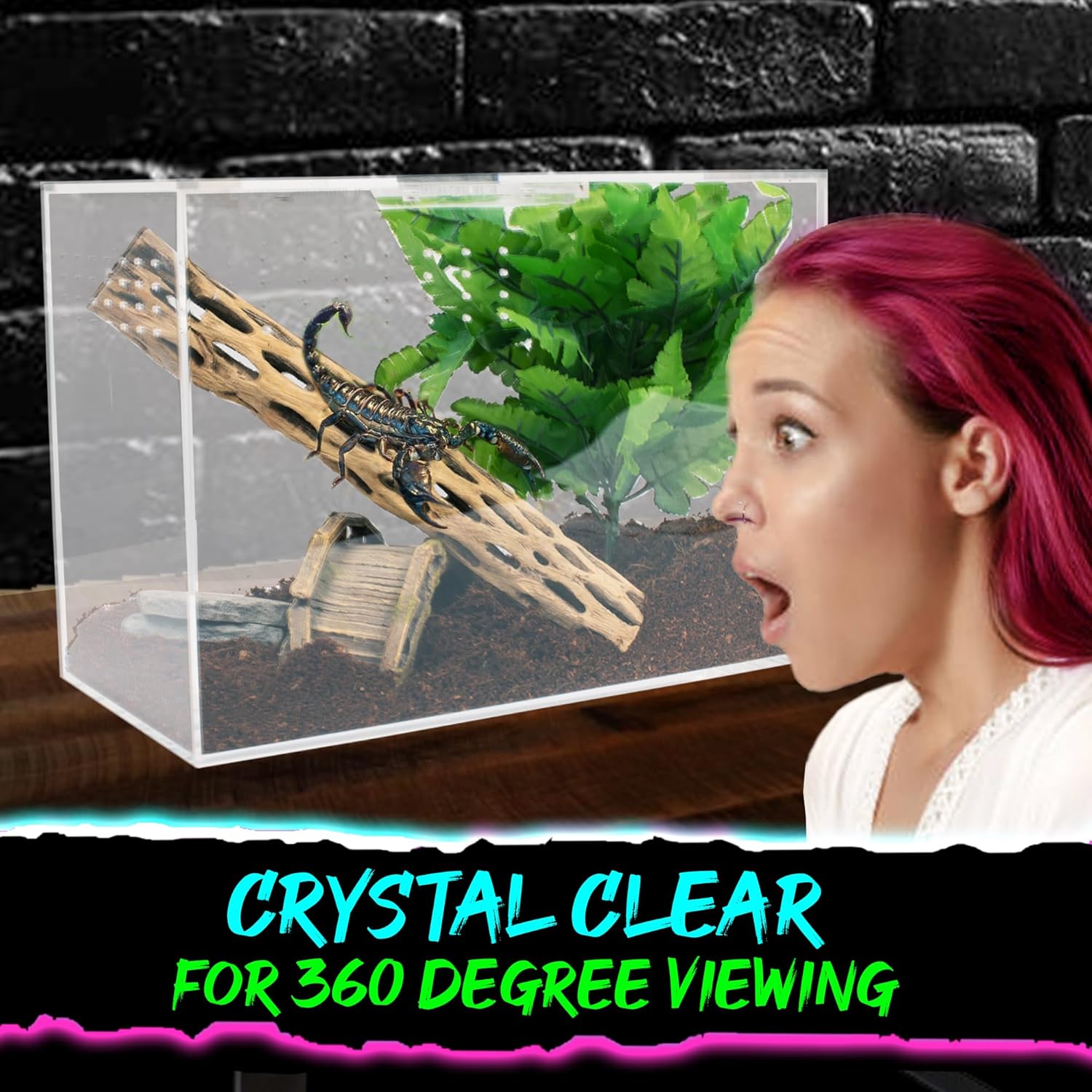 Tarantula Enclosure XL (10”x7”x14”) Reptile Terrarium w/Sliding Magnetic Door-Great Reptile Tank for Terrestrial or Arboreal Animals- Acrylic Terrarium for Juvenile or Adult Spiders- Hermit Crab Cage