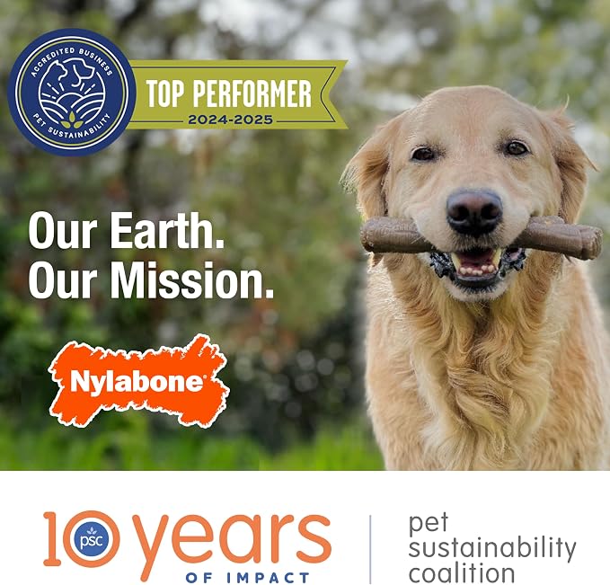 Nylabone Power Chew Classic Bone Chew Toy - Image 12