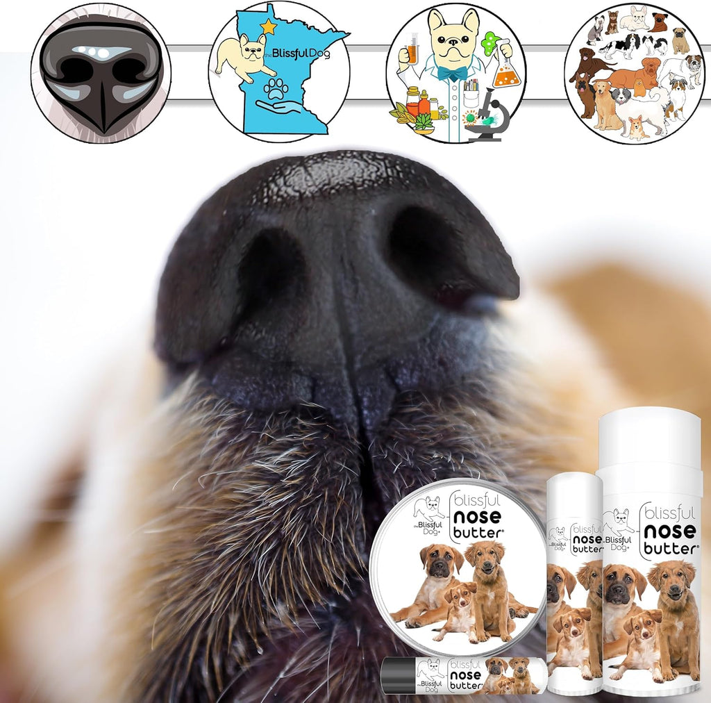 The Blissful Dog 3 Cute Puppies Nose Butter, Versatile Dog Nose Balm for Dry Nose, Handcrafted Nose Moisturizer, Easy-to-Apply Dog Essentials, Unscented, 2 oz.
