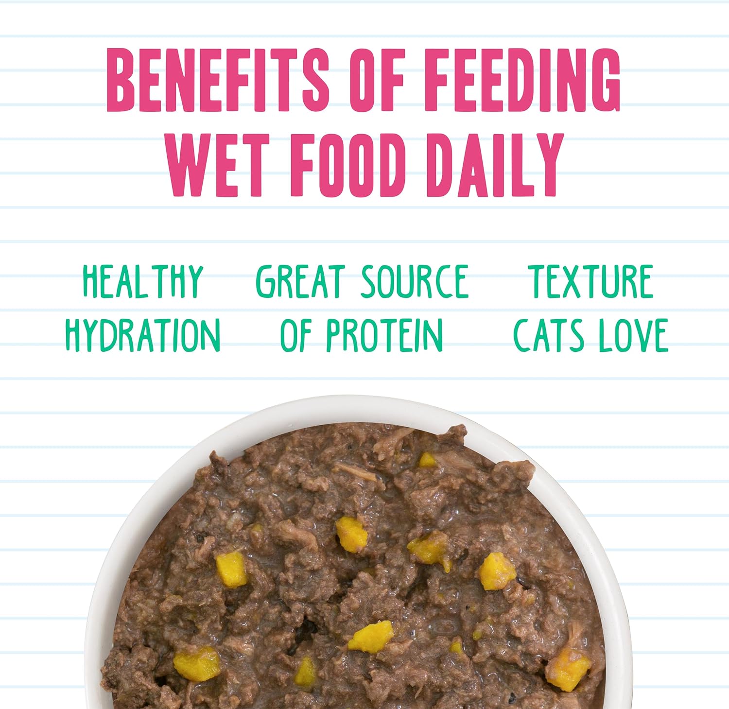 Weruva BFF Minced Natural Wet Cat Food, Tuna and Pumpkin Valentine in Gravy, 10oz Can, Pack of 12