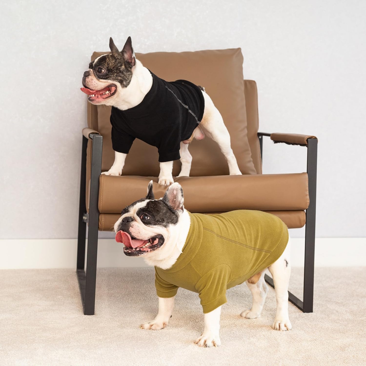 Fitwarm 3 Pack Classic Fleece Dog Sweater, Winter Clothes for Small Dogs Boy Girl, Turtleneck Dog Sweatshirt, Pet Pullover Jumper, Cat Apparel, Black, Olive Green, Cream, Large