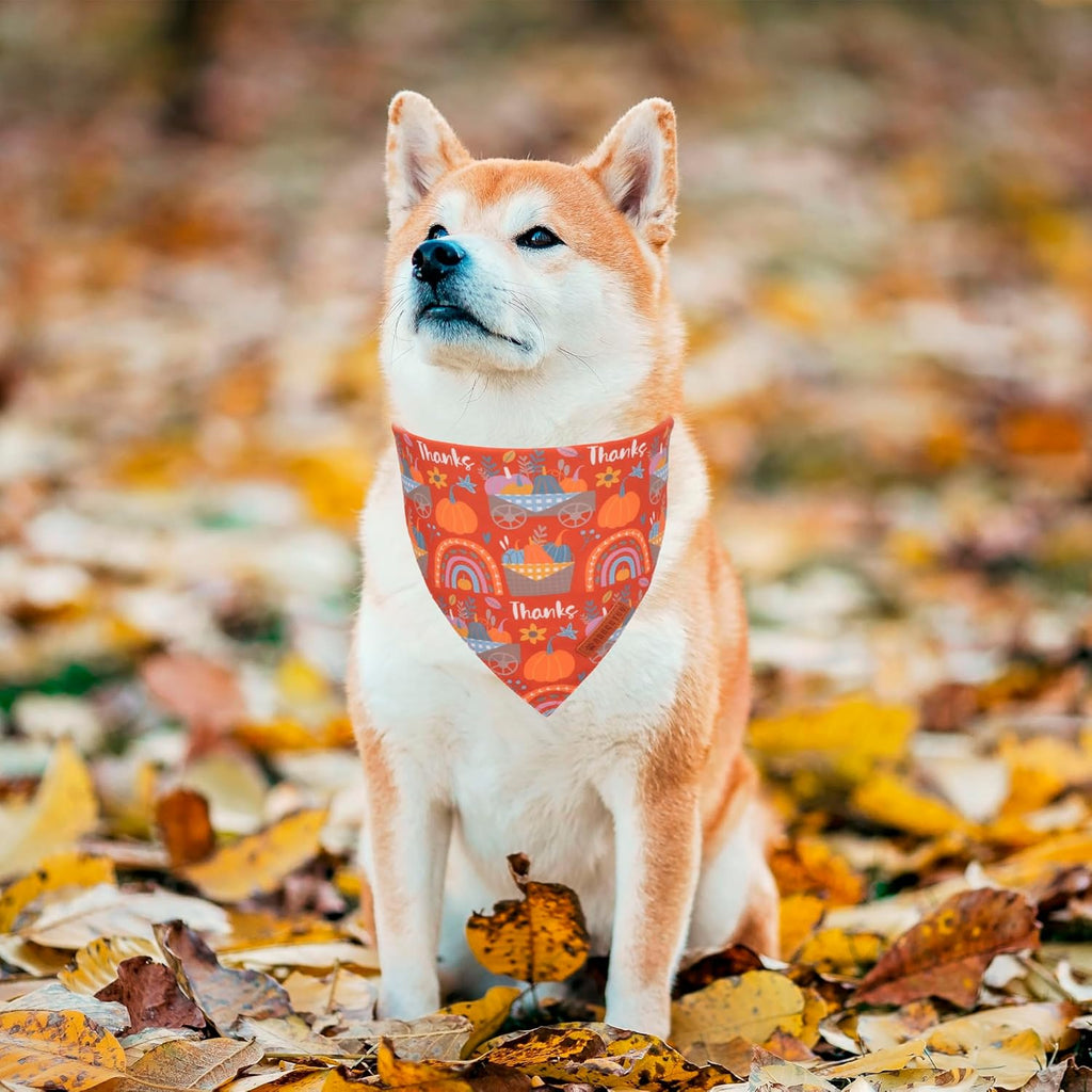 ADOGGYGO Thanksgiving Dog Bandana, Blue Orange Pumpkin Scarf, Adjustable Fit Fall Thanksgiving Bandanas for Medium Large Dogs Pets (Large)
