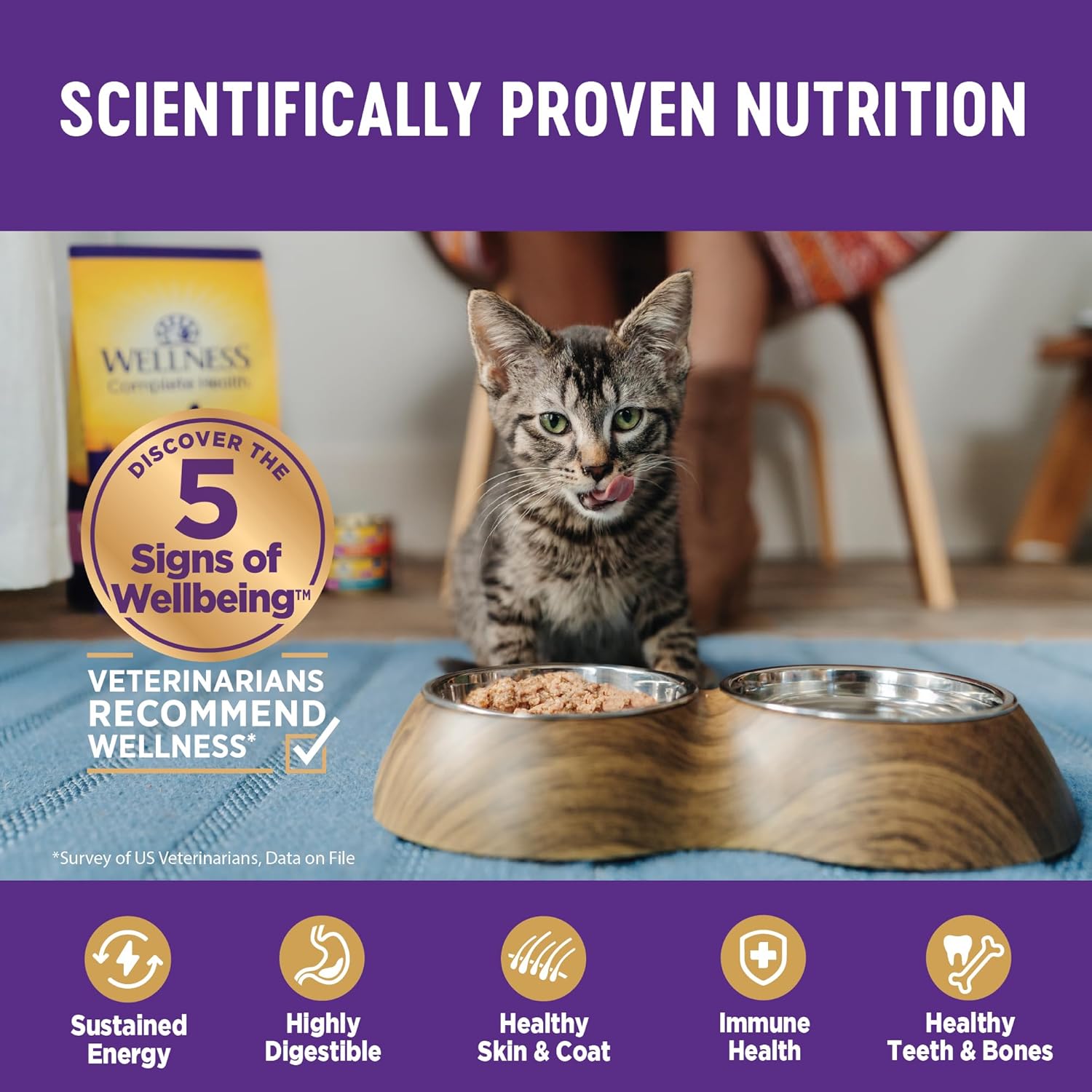 Wellness Complete Health Pate Kitten Wet Cat Food, Natural, Protein-Rich, Grain Free, 5.5 Ounce, 24 Pack, (Chicken)