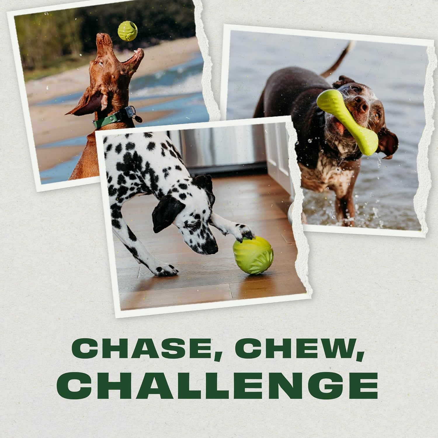Benebone 3-Pack Ball/Bone Medium/Pawbler