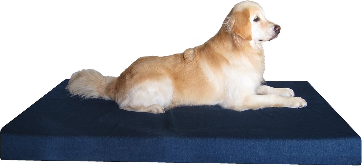 Dogbed4less Jumbo Orthopedic Memory Foam Dog Bed for Large Dogs with Durable Denim Cover, Waterproof Liner and Extra Pet Bed Case, 55X47X4 Inches