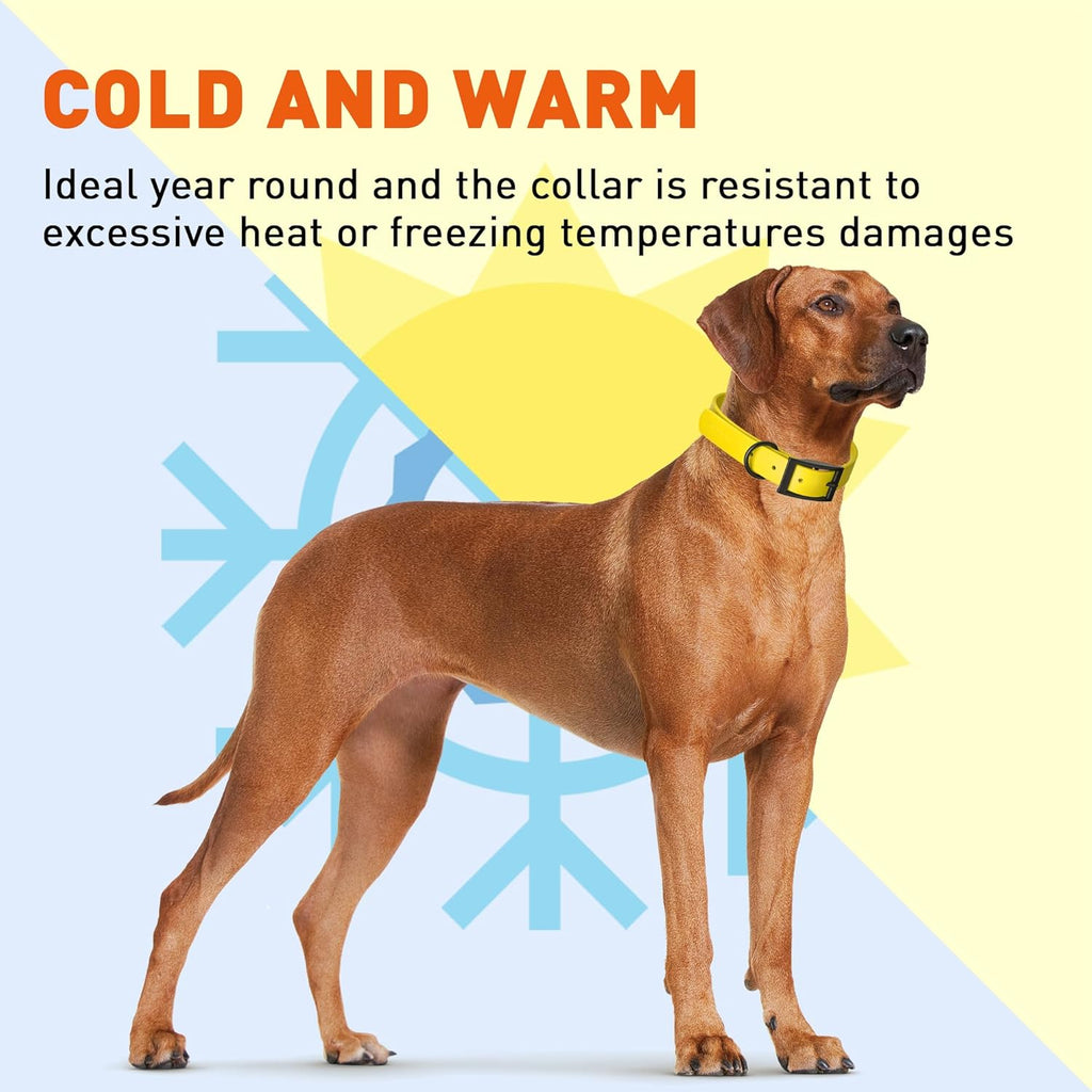 Dogline Biothane Waterproof Dog Collar Strong Coated Nylon Webbing with Black Hardware Odor- Proof for Easy Care Easy to Clean High Performance Fits Small Medium or Large Dogs, Lemon Yellow