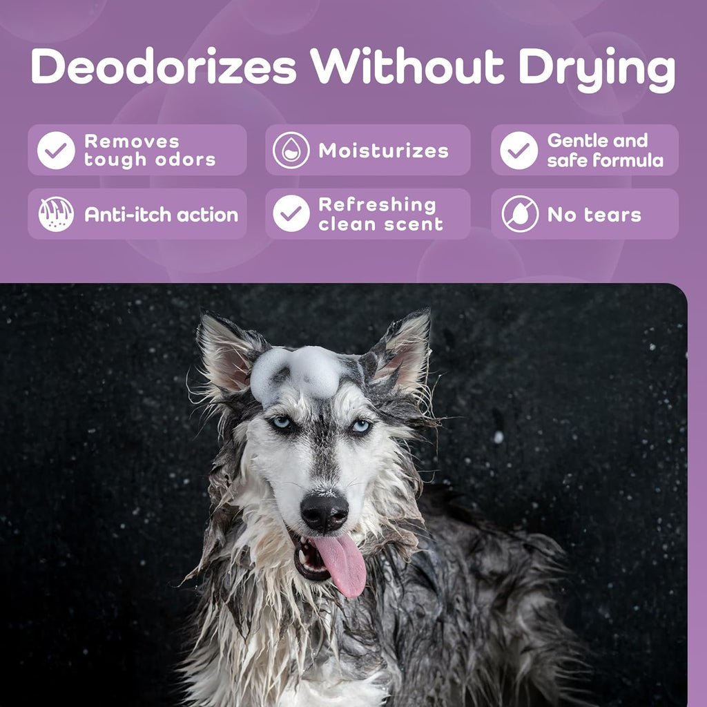 Sensitive Care -Tangle-Free-Silky Shine Softening and detangling Shampoo, Delicate Coat Clean & Odor Control Shampoo – Advanced Shine Formula for Dogs (Huskies, 16 Fluid Ounces)
