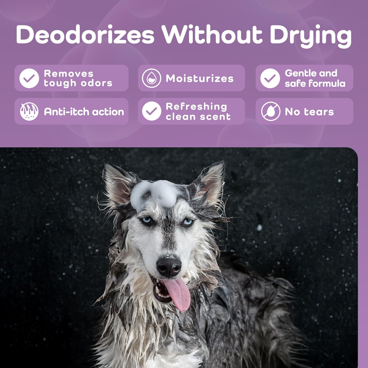 Sensitive Care -Tangle-Free-Silky Shine Softening and detangling Shampoo, Delicate Coat Clean & Odor Control Shampoo – Advanced Shine Formula for Dogs (Huskies, 16 Fluid Ounces)