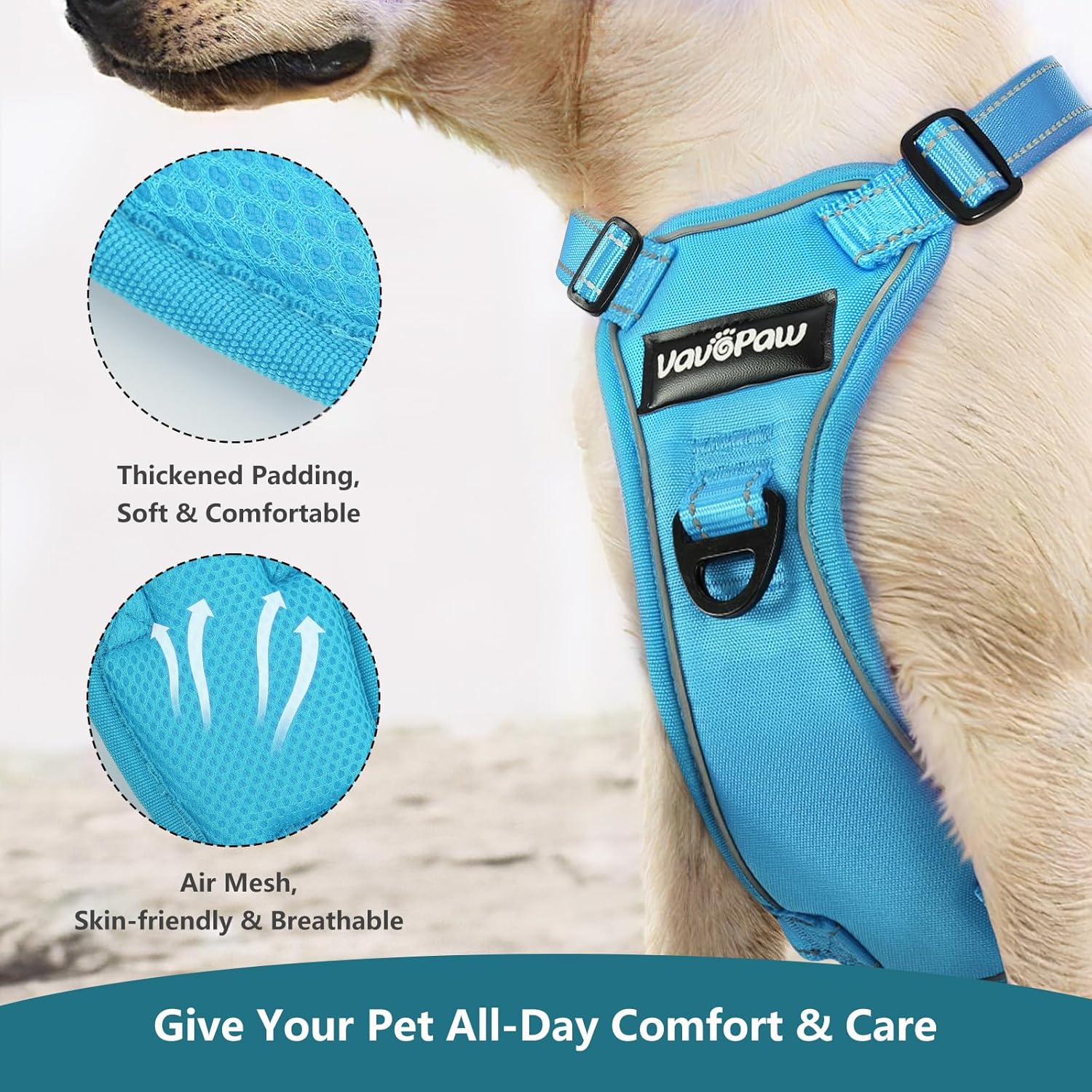 Dog Seat Belt Harness for Car, Dog Car Harness Adjustable Mesh Breathable & Dogs Seatbelt Safety Tether with Elastic Bungee for Small Medium Large Pets(Blue, L)