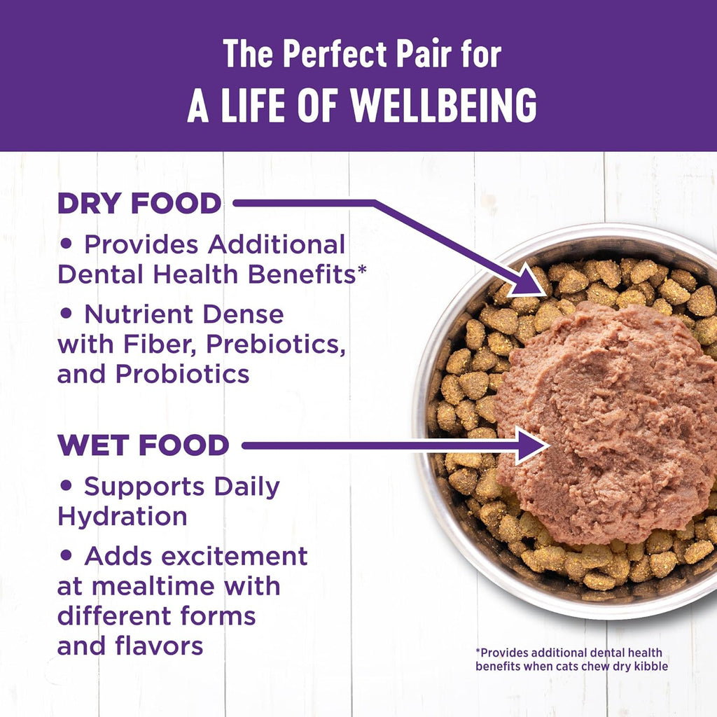 Wellness Complete Health Gravy Adult Wet Cat Food, Natural, Protein-Rich, Grain Free, 5.5 Ounce, 12 Pack, (Salmon Entree)