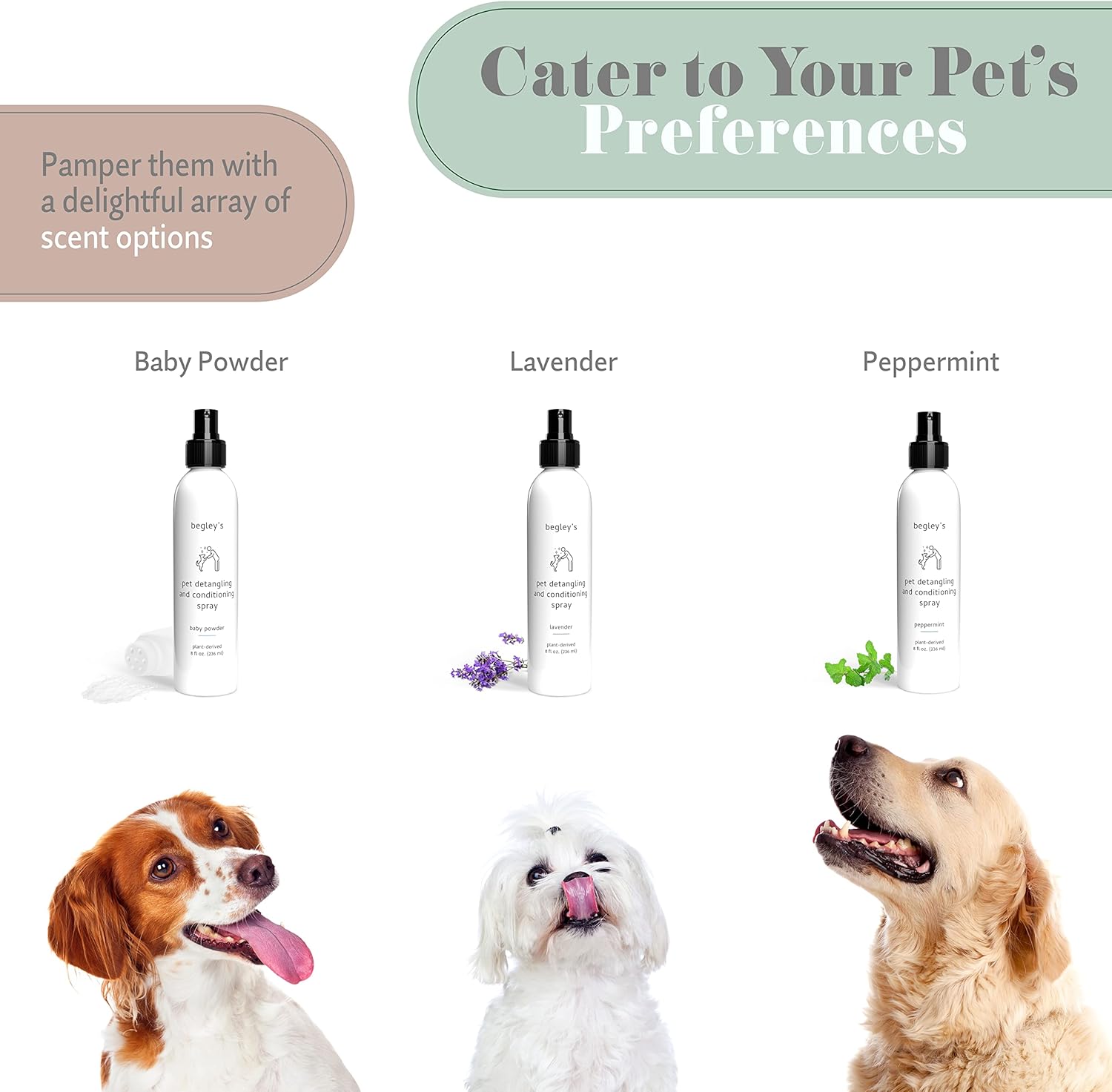 Begley's Pet Detangling Spray - Premium Essential Oil Scented Detangler Spray for Dogs, Puppies & Cats - Dog Leave in Conditioner Spray - Dematting Spray for Dogs & Pets - 8 oz, Baby Powder
