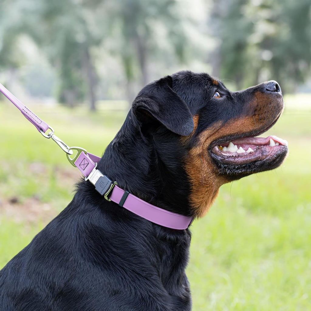Dogline Biothane Waterproof Dog Collar with Herm Sprenger Stainless Steel Quick Release Buckle – Heavy Duty Tactical Durable Collar for Dogs – Comfortable and Safe Pet Collar, W 1" L 15-25", Amethyst